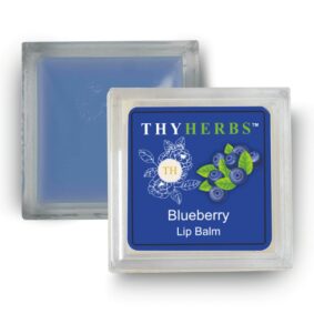 Blueberry Infused Lip balm