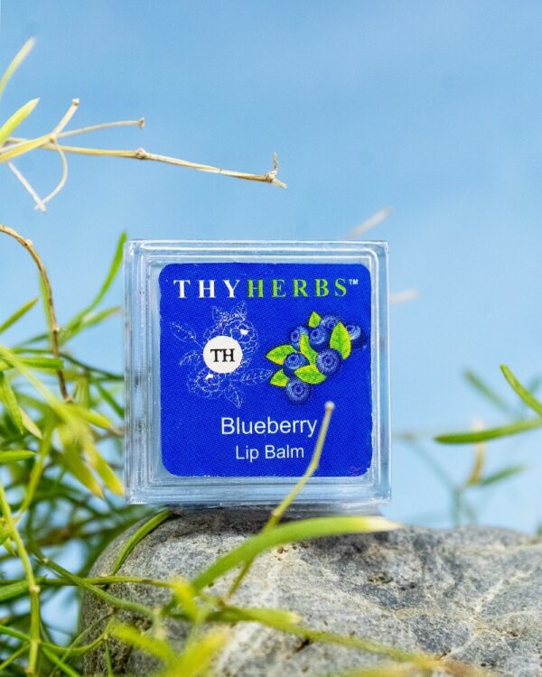 Thyherbs Blueberry Lip Balm
