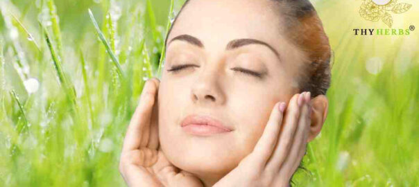 Natural Skincare fromThyHerbs for Indian Skin