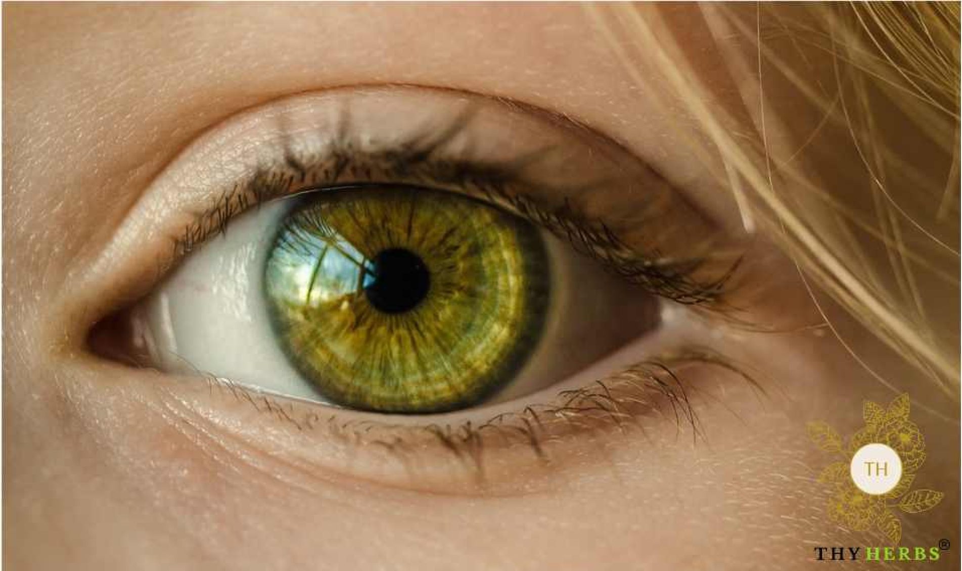 Valuable Benefits of Thyherbs Under Eye Serum Valuable Benefits of Thyherbs Under Eye Serum