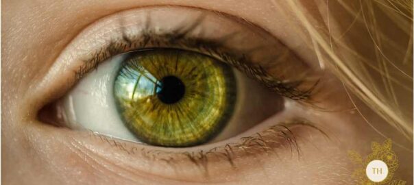 Thyherbs Under eye serum